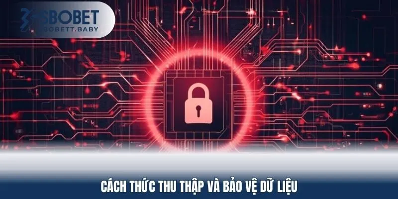 Cách thu thập và bảo vệ dữ liệu của nhà cái SBOBET