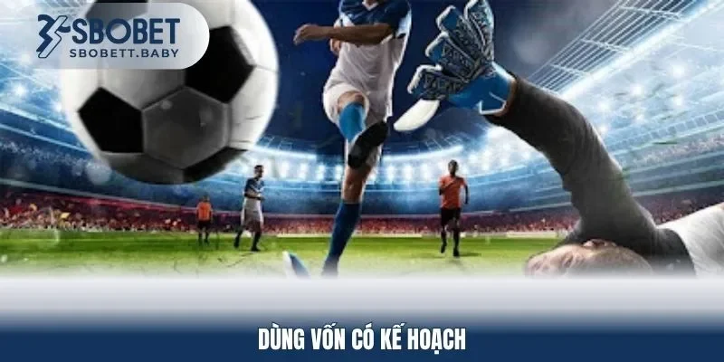 Dùng vốn có kế hoạch