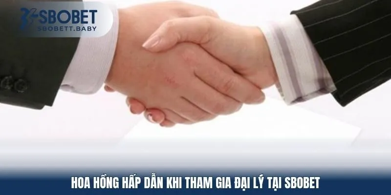 Hoa hồng hấp dẫn khi tham gia đại lý tại SBOBET