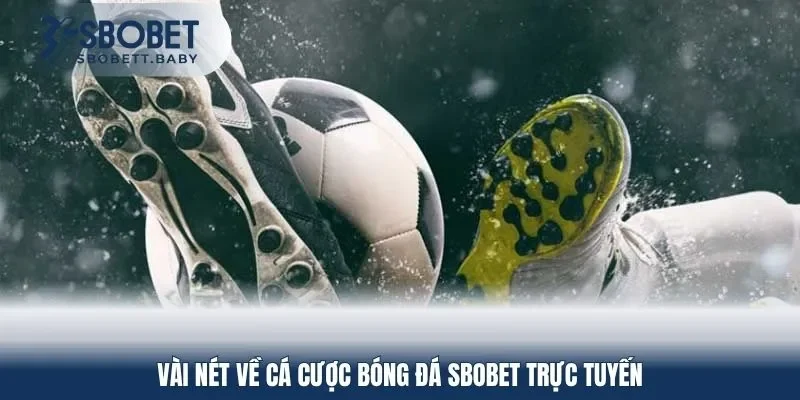 Vài nét về cá cược bóng đá SBOBET trực tuyến